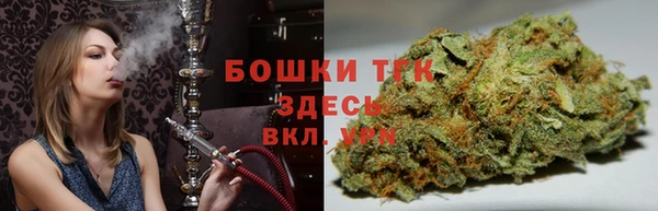 прущие грибы Алексеевка