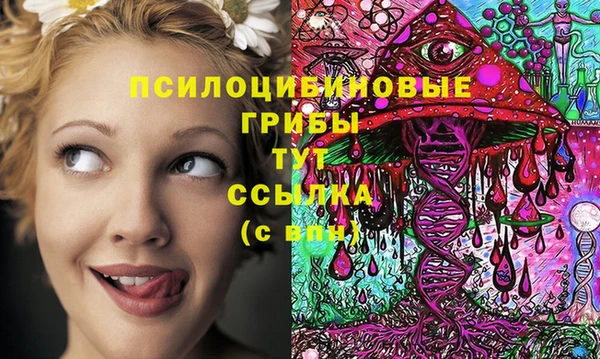 ПСИЛОЦИБИНОВЫЕ ГРИБЫ Алексин