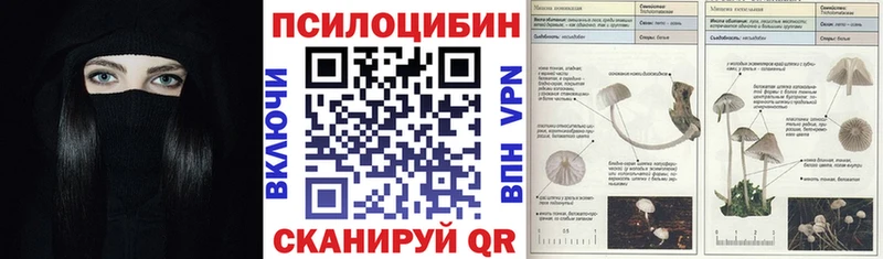 сколько стоит  Калач-на-Дону  Галлюциногенные грибы Cubensis 