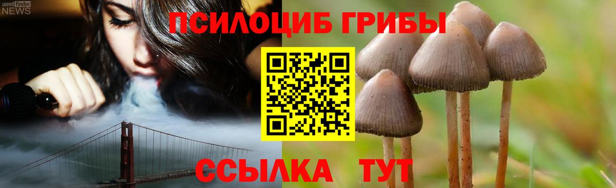 Калач-на-Дону  Псилоцибиновые грибы Psilocybe  Вход с VPN  Псилоцибиновые грибы Cubensis 
